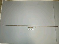 藏品(單鏃竹箭)的圖片